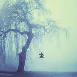 Meet your Posher, Tami